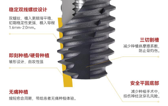 三、价格对比与服务项目分析