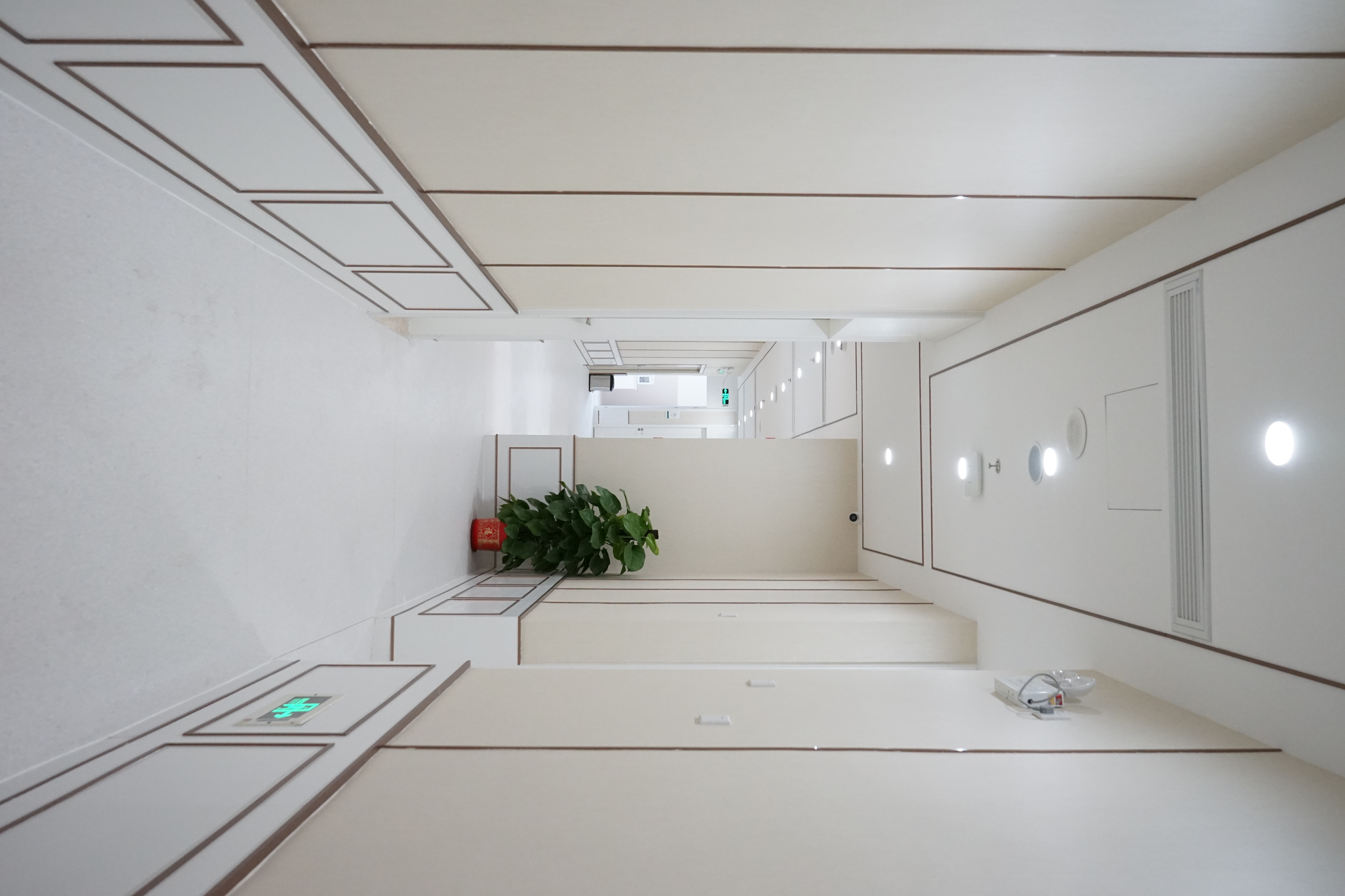 三、登特口腔核心技术解析