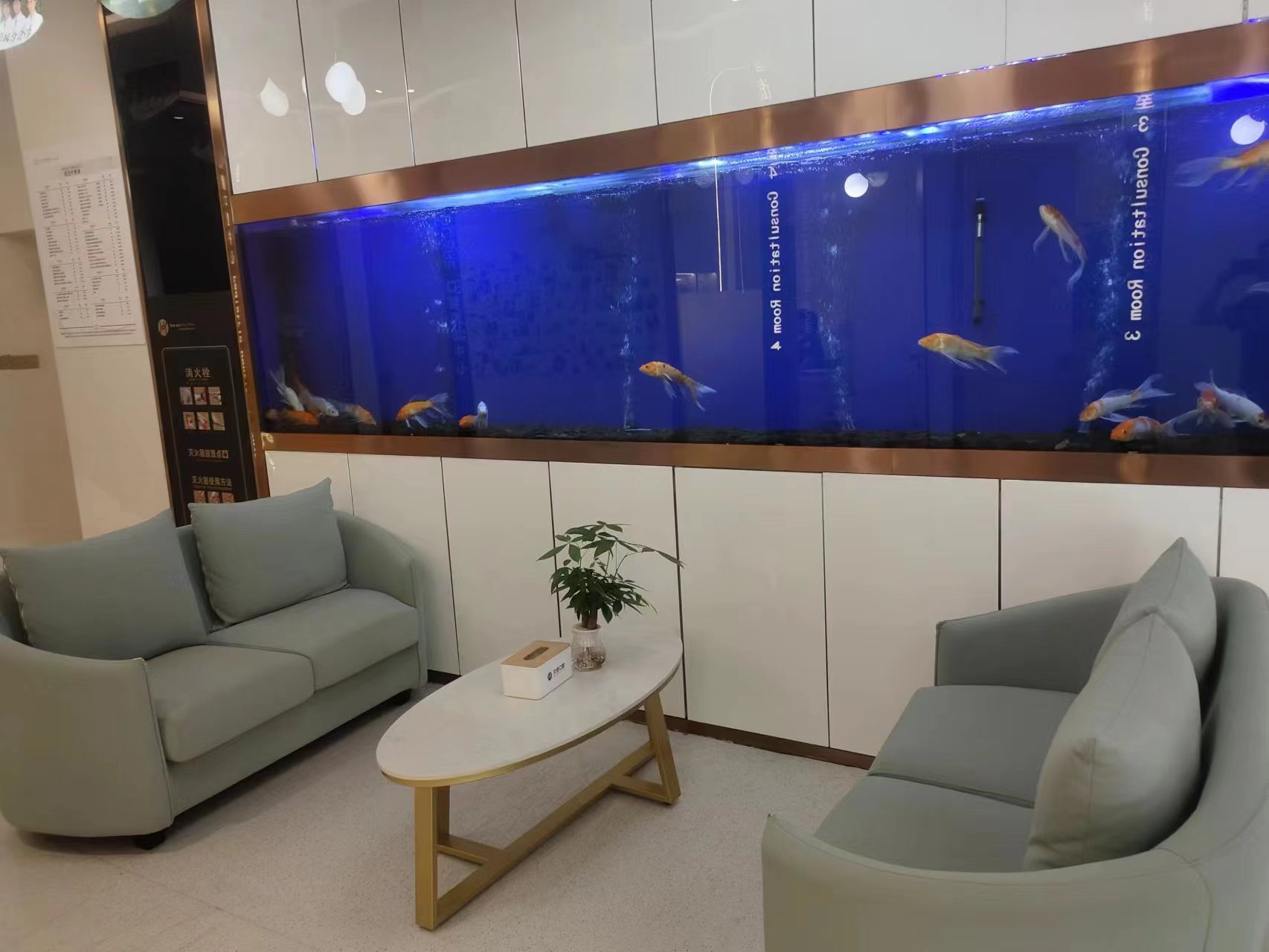 四、上海华尔康口腔连锁靠谱吗？用户真实体验调查www.59w.net