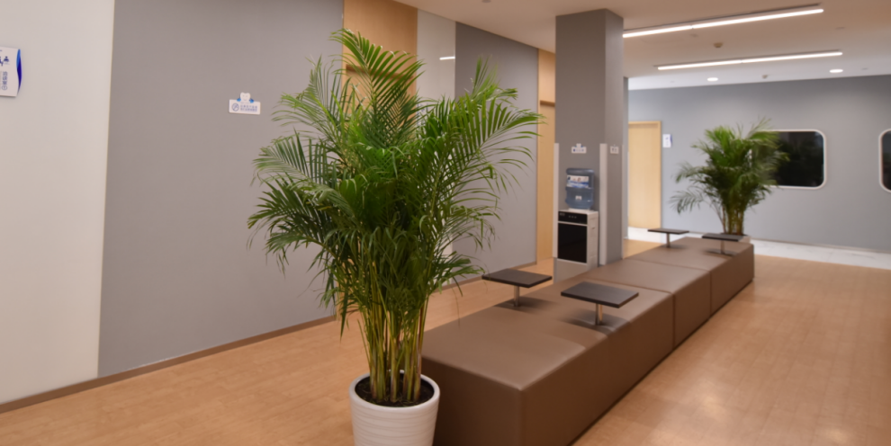 四、中韩医生团队与技术特色www.59w.net