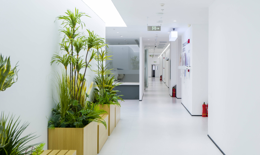 如果你正被口腔问题困扰