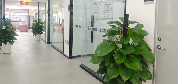 阜新诺贝尔口腔评价咋样?本地口腔榜前3实锤:种植牙用进口材料,80%老人复购修牙