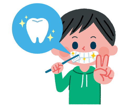 二、正雅T1和T2的品牌背景优势