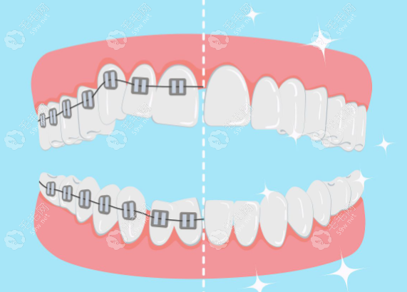 综合矫治理念与技术
