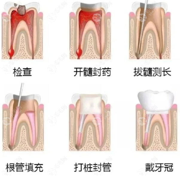 保定合谷口腔门诊部执业医师段宗博