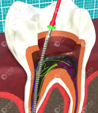 丰富经历与美学追求