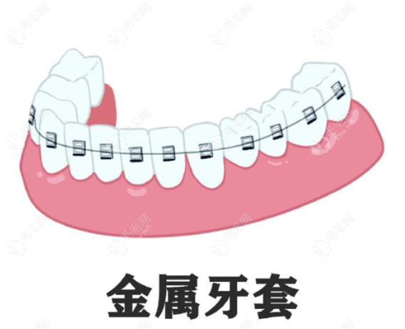 临床经验与进修经历