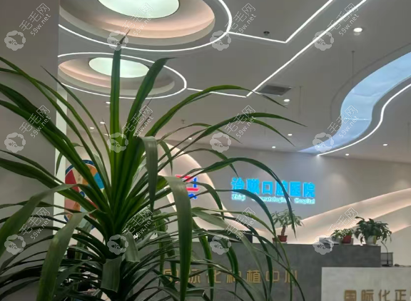 团队与规范执业