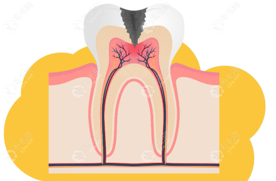 特色专长与综合关怀