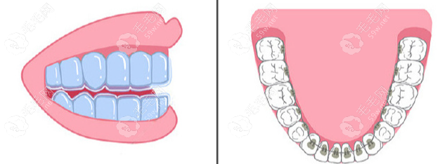 技术，美学与功能的高度统一