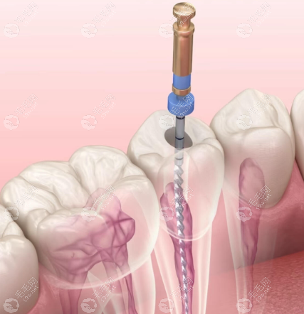 邯郸齿美口腔门诊部执业医师暴文娇