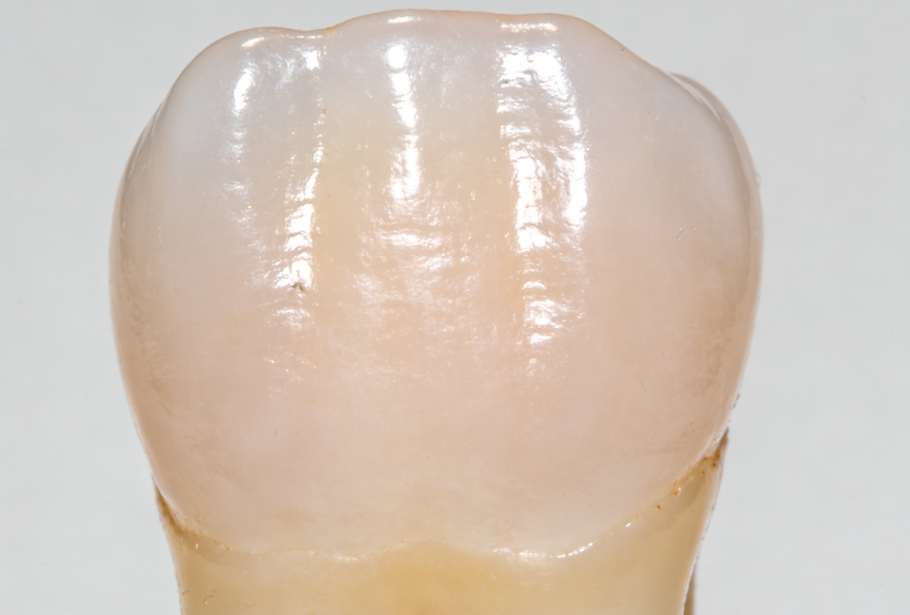 三、不止于美，更是全龄段的“笑容投资”www.59w.net