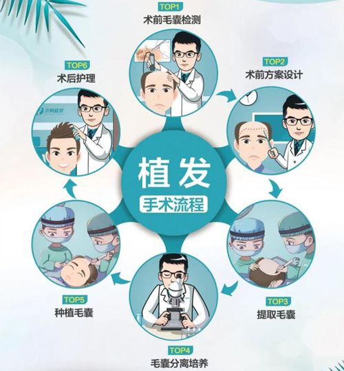 十、发际线种植的真实经历:给新手的一些建议www.59w.net