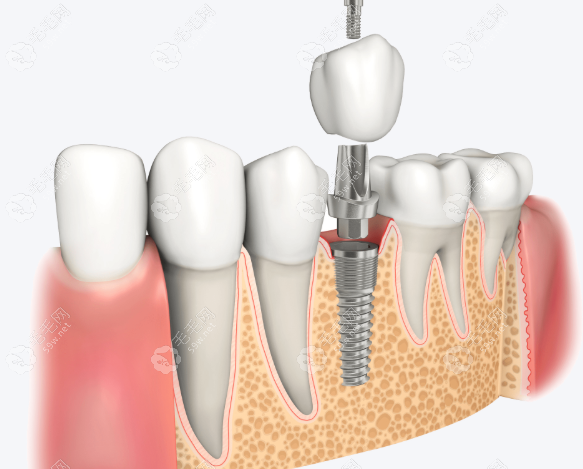 背景与学术视野