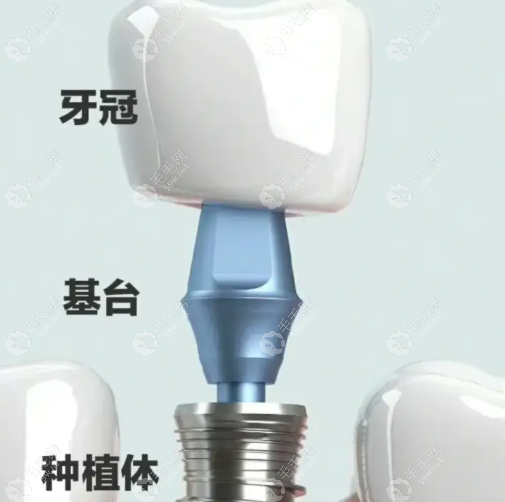 核心擅长领域 核心擅长领域