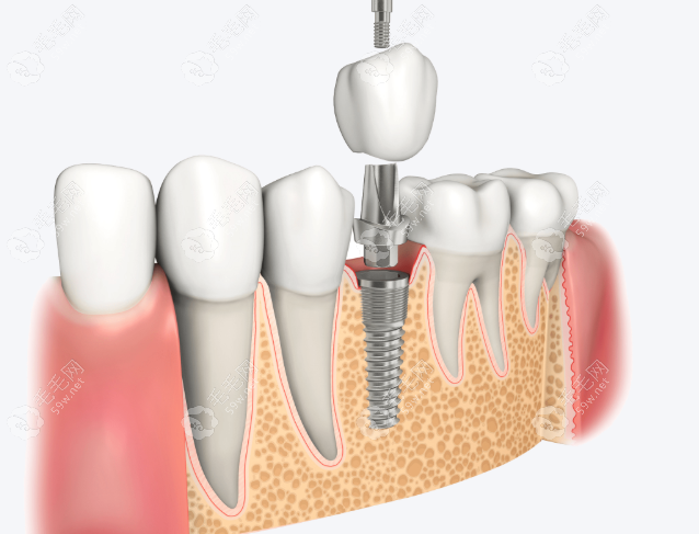 背景与资质 背景与资质