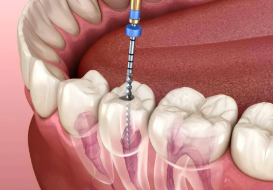 五、港客朋友也关心的便捷与服务