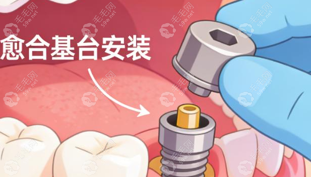 资质与学术背景