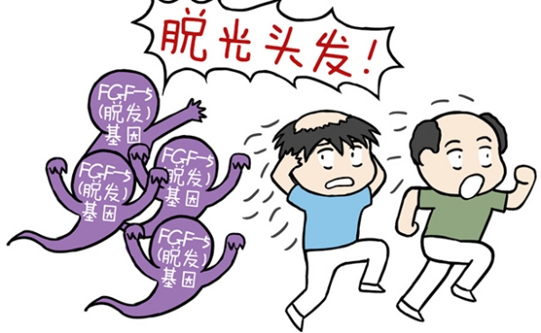 男生植发1万元能做吗？2026年FUE技术揭秘！800-1500单位小面积调整
