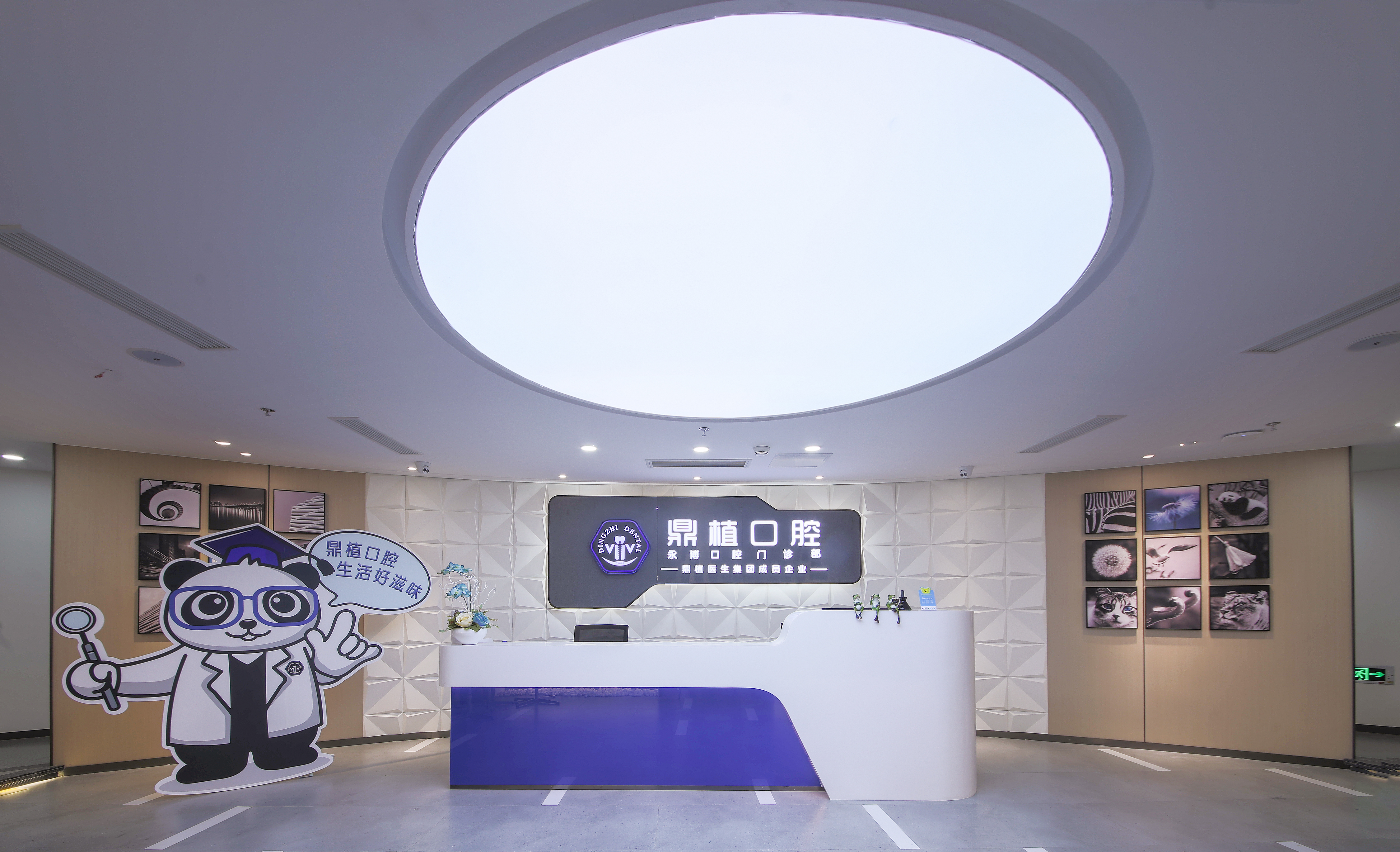 三、VIIV专有种植是噱头还是真靠谱？价格贵不贵？