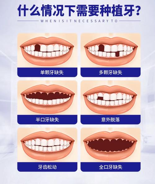 三、主要能做哪些项目？