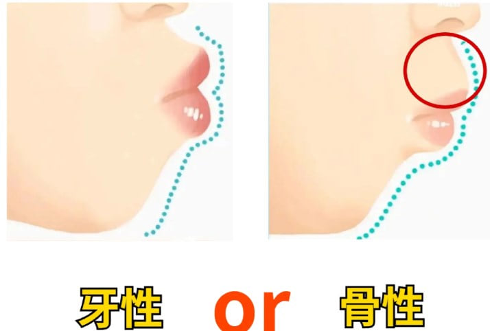 FAQ 常见问题解答